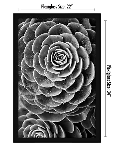 22x34 Poster Frame