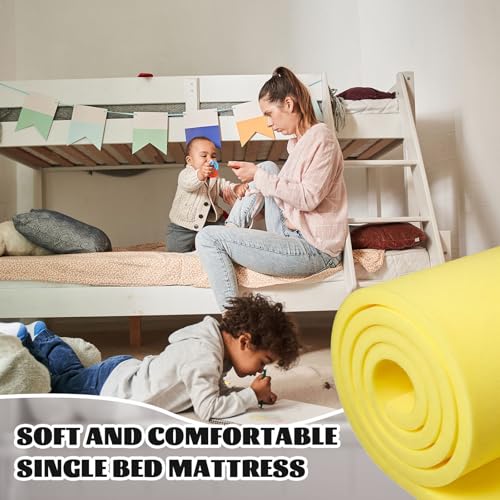 1 Pack Upholstery Foam Sheet