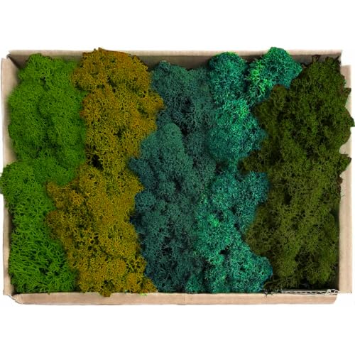 Preserved Reindeer Mix Craft Moss Natural Green DIY Kit Gardenning Art Wall Decor Florist Easter Table Decor Wedding Decor