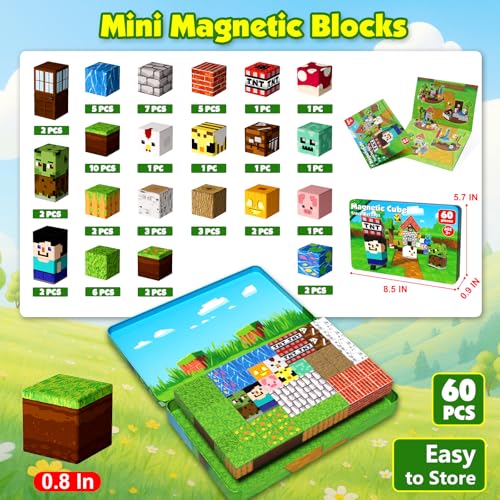 60 PCS Magnetic Blocks with Metal Box