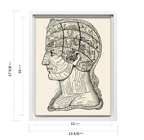 A Symbolic Head Phrenology Print 1899