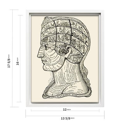 A Symbolic Head Phrenology Print 1899