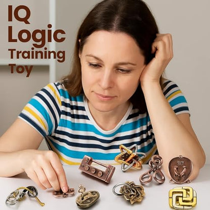 9 Pcs Metal Brain Teasers 3D Steel Puzzle Set (9 Count)