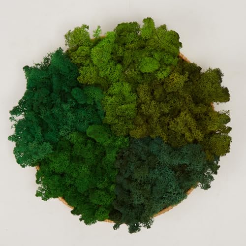 Preserved Reindeer Mix Craft Moss Natural Green DIY Kit Gardenning Art Wall Decor Florist Easter Table Decor Wedding Decor
