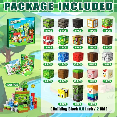 Magnetic Blocks (100 Count)