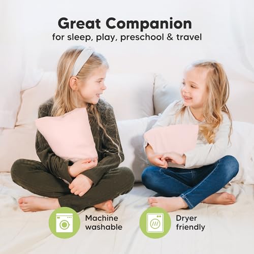 Mini Toddler Pillow with Pillowcase