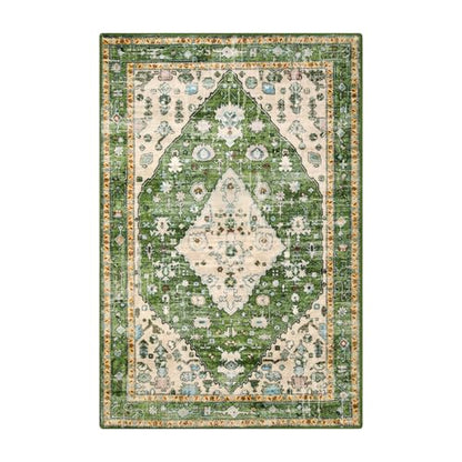 Felice Boho Tribal Area Rug