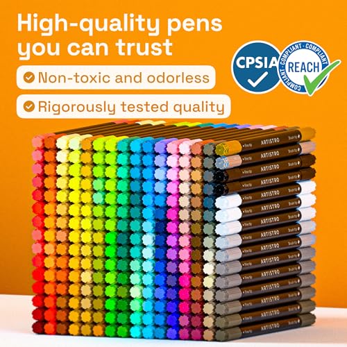 Dual Tip Acrylic Paint Marker Pens (240 Count)