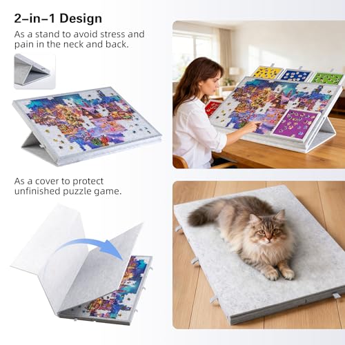 Tilting Puzzle Board with 2 (1000 Count)
