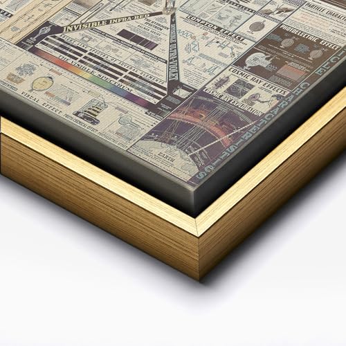 Science Canvas