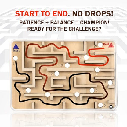 Handheld Fidget Brain Teaser Puzzle Game for Kids