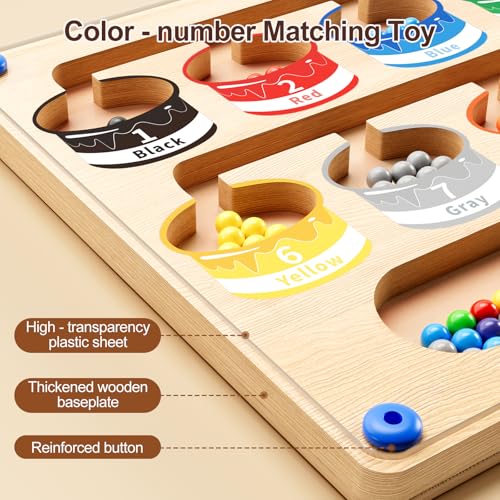 Magnetic Color Number Maze Puzzle Board (65 Count)
