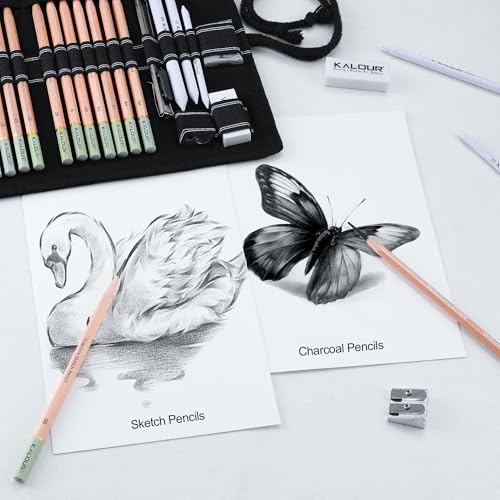 29 Pro Sketching Drawing Pencils Set with Roll (29 Count)