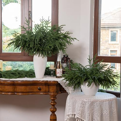12 Pcs 30 Inch Artificial Norfolk Pine Stems Faux Christmas Greenery Pine Branches Realistic Fake Evergreen Cedar Pine Picks Winter Greens for Vase DIY Garland Wreath Holiday Home Decor (12 Count)