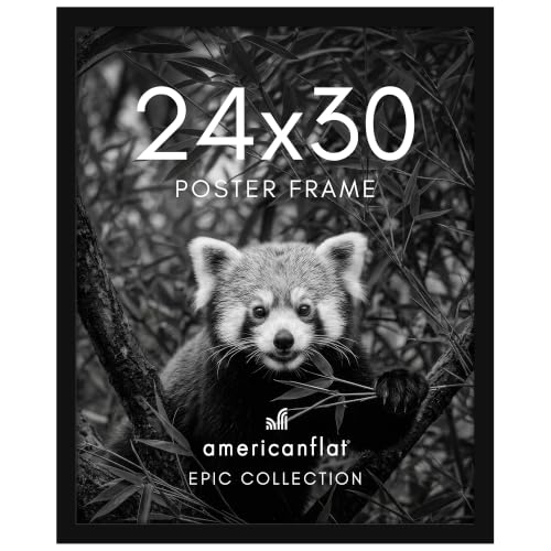 24x30 Poster Frame