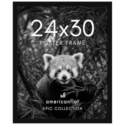 24x30 Poster Frame