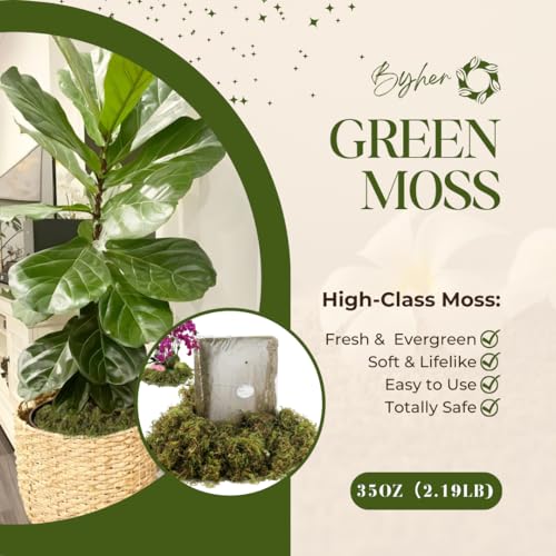 2.2LB Large Capacity Fake Moss for Plants Indoor (35 Ounce)