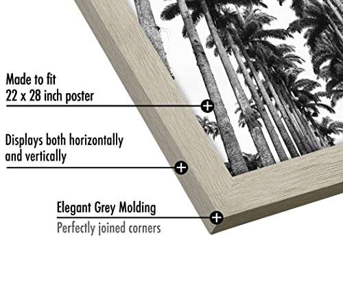 22x28 Poster Frame