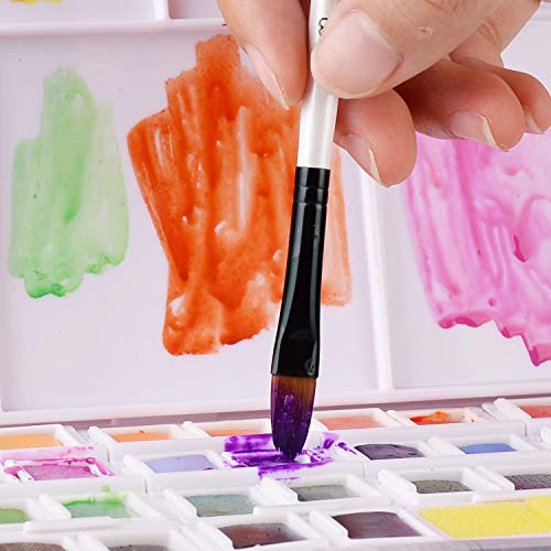 Filbert Paint Brushes Set (12 Count)