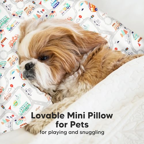 Mini Toddler Pillow with Pillowcase