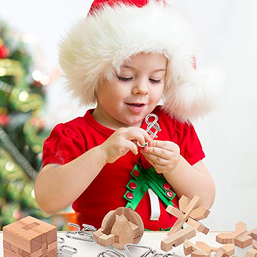 Brain Teasers Metal and Wooden Puzzles for Kids and Adults 9 Pack (9 Count)