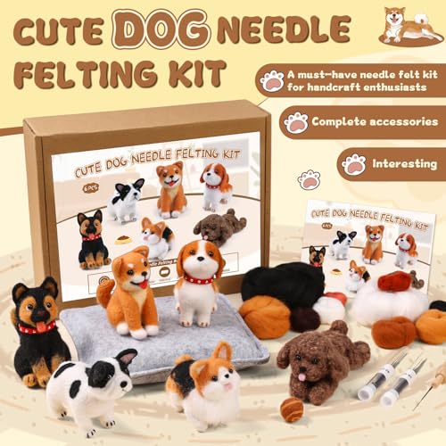 6 Pcs Needle Felting Kit