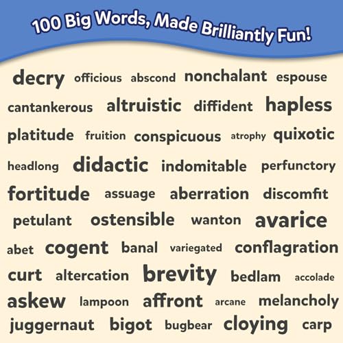 Vocabulary Flash Cards
