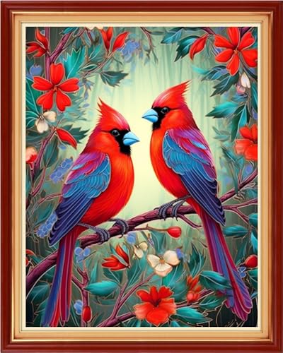Cross Stitch Kits Stamped Full Range of Embroidery Kits