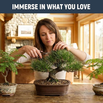 Bonsai Tree Kit (5 Count)