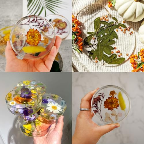 Resin Coaster Molds (6 Count)