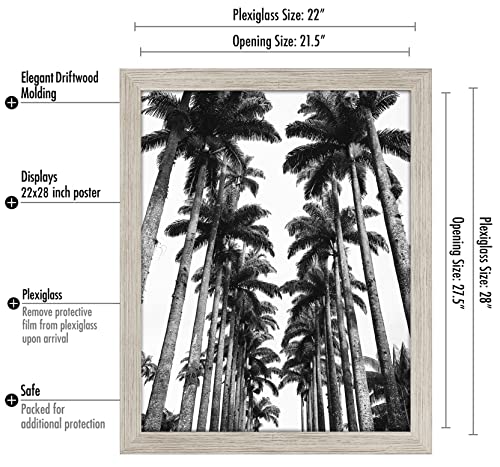 22x28 Poster Frame