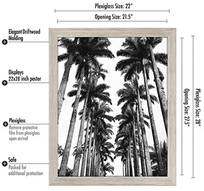 22x28 Poster Frame