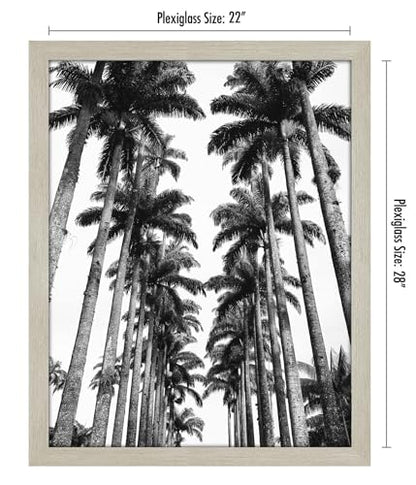 22x28 Poster Frame