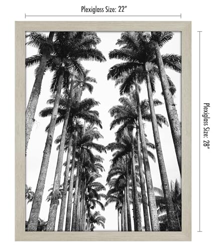 22x28 Poster Frame