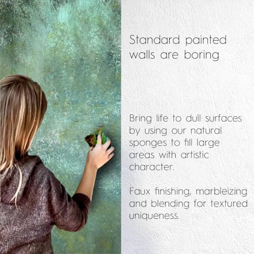 Natural Artist Sea Sponges for Painting 2 Pack (2 Count)