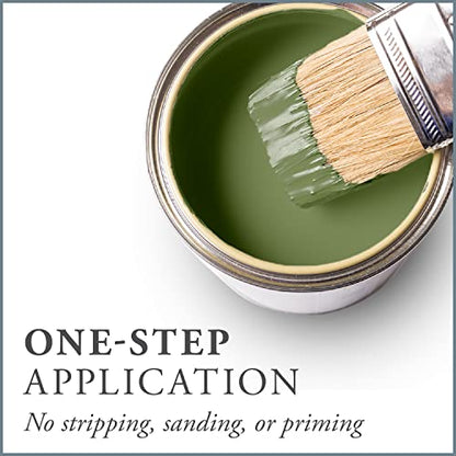 Chalk Based One Step Paint for Furniture (16 Ounce)