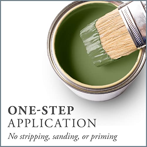 Chalk Based One Step Paint for Furniture (32 Fl Oz)