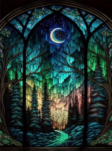 Starry Night Stamped Cross Stitch Kits for Beginners Adults