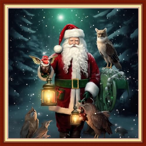 Cross Stitch Kits for Adults Beginners