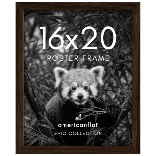 16x20 Poster Frame