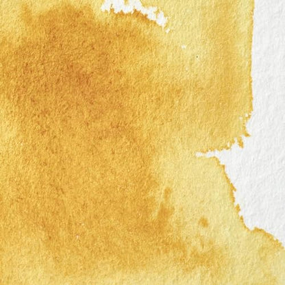Professional Watercolor