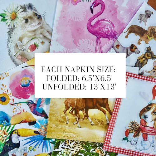 Mystery Pack Decoupage Paper Napkins (20 Count)