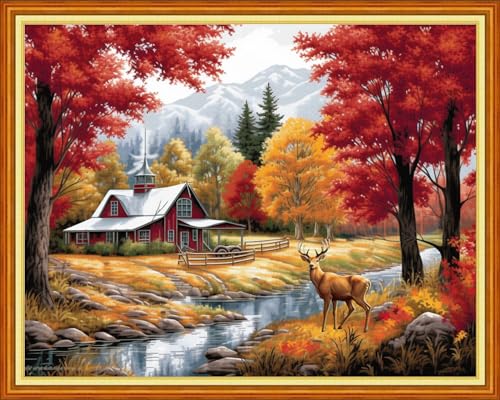 Cross Stitch Kits for Beginners Stamped Cross