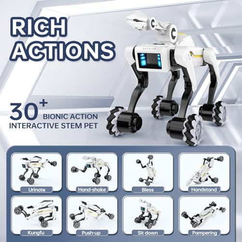 3 in 1 Robot Dog with Wheels Kit