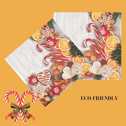 20 ct 13x13 Christmas Paper Decoupage Napkins (20 Count)