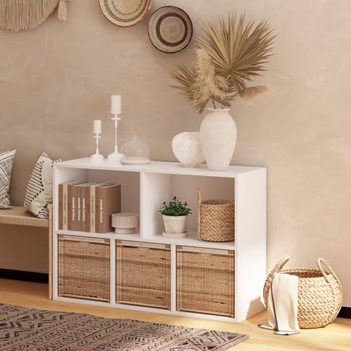 Wooden 5 Cube Storage Organizer with Closed Back Panel