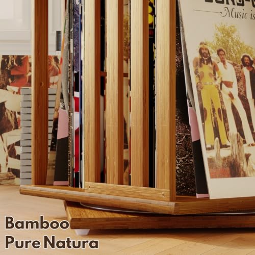 360° Rotating Bamboo CD