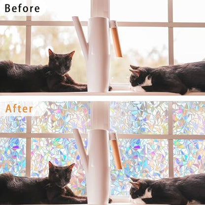 Window Privacy Film