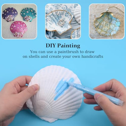 6PCS Scallop Shells for Crafts 4''
