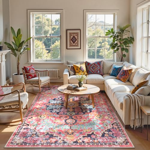 Reine 6x9 Area Rugs Machine Washable Area Rugs for Living Room